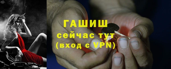 ешки Вязьма