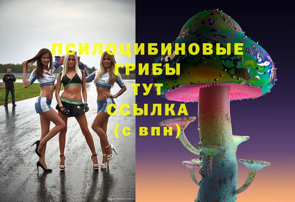 бутират Вяземский