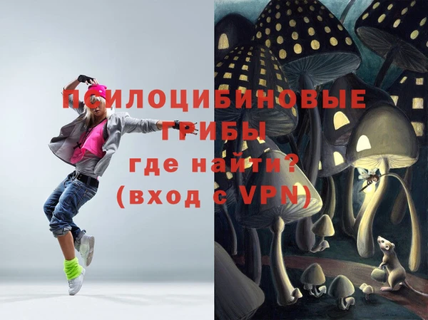 бутират Вяземский