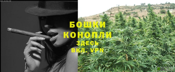 ГАЛЛЮЦИНОГЕННЫЕ ГРИБЫ Горнозаводск