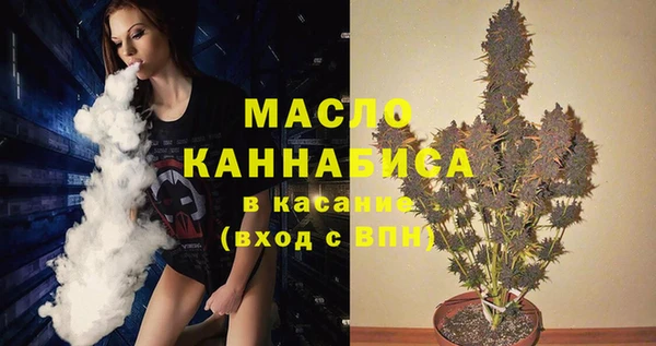 крисы Горняк