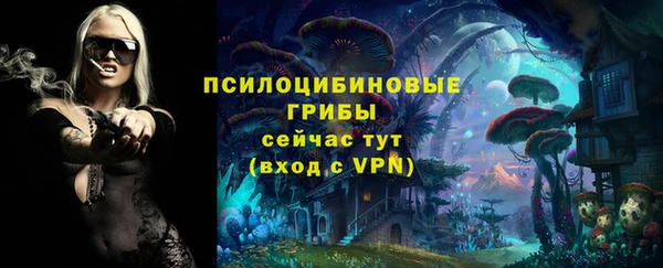 ешки Вязьма