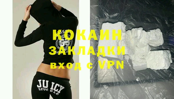 крисы Горняк