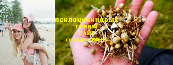 бутират Вяземский